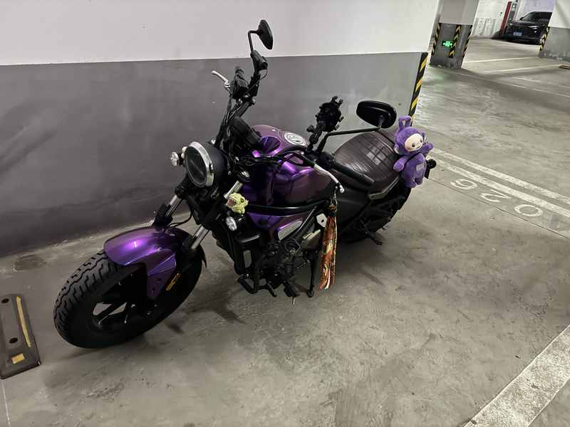 QJMOTOR 闪500S