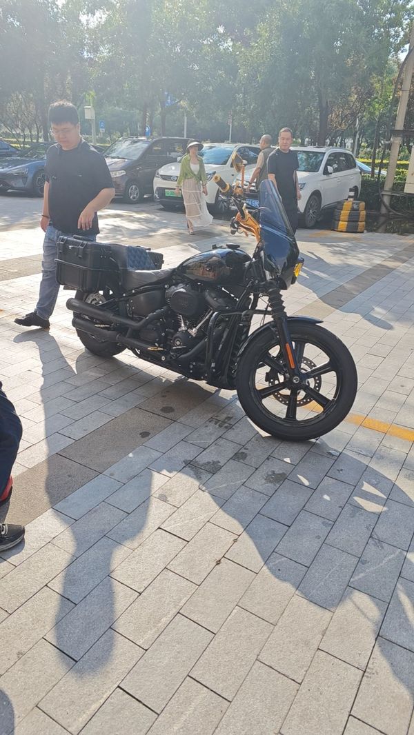 哈雷戴维森 街霸 Street Bob