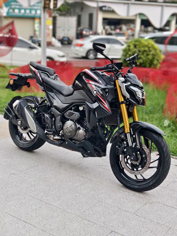 豪爵 DR300