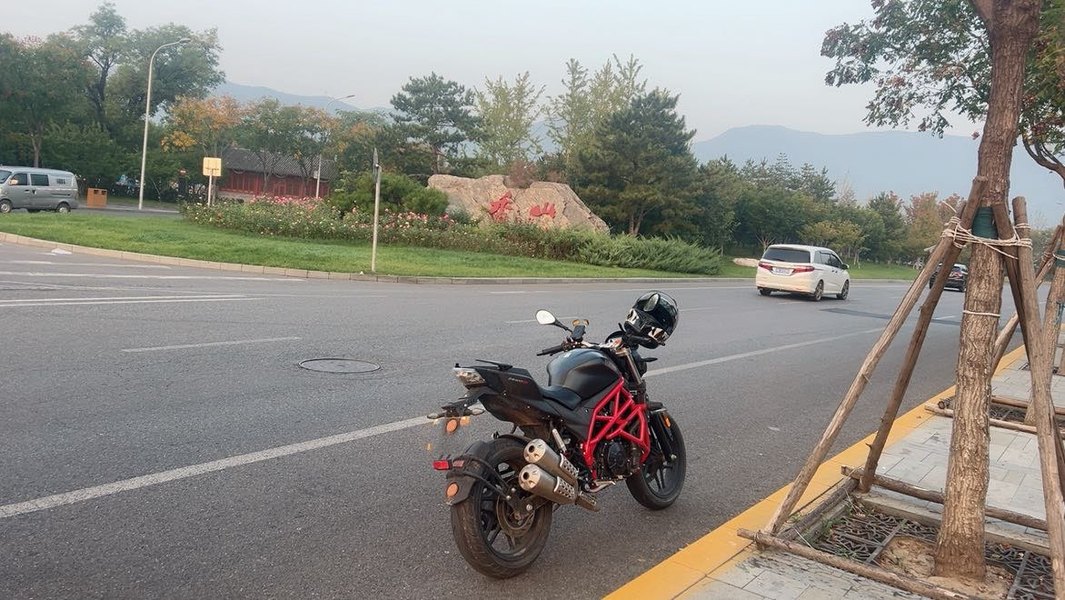 赛科龙 RZ3S