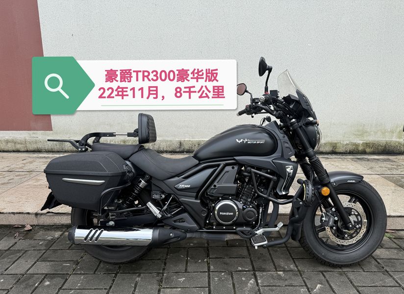 豪爵 TR300