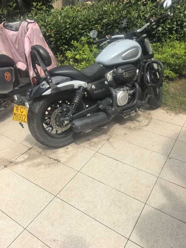 奔达 金吉拉300
