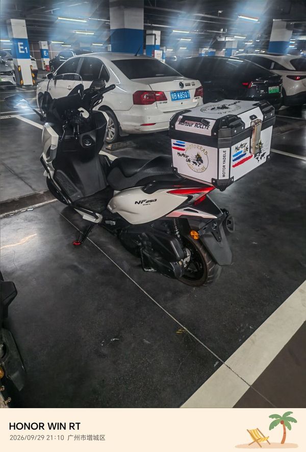 南方 飞鲨