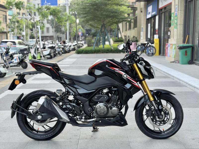 豪爵 DR300