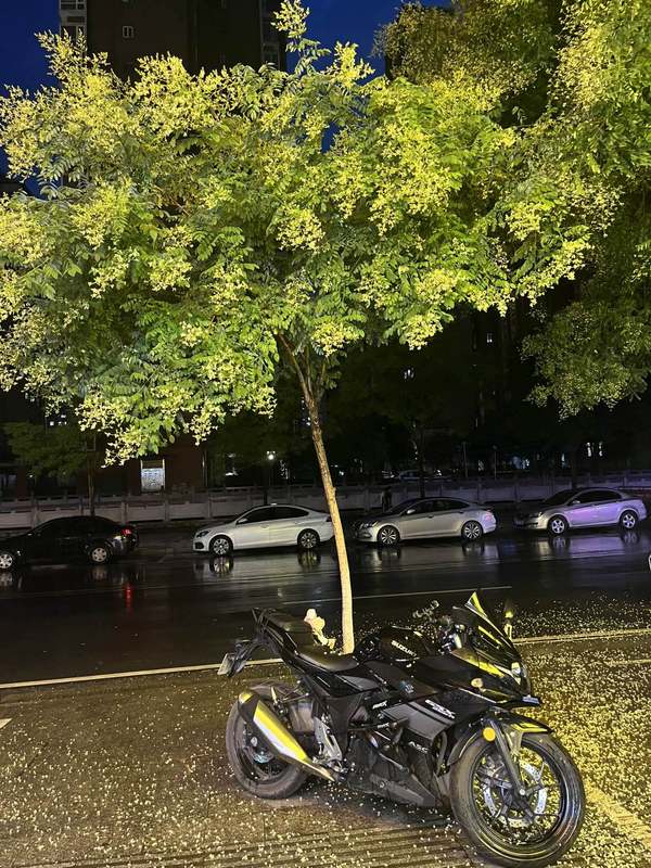 豪爵铃木 GSX250R