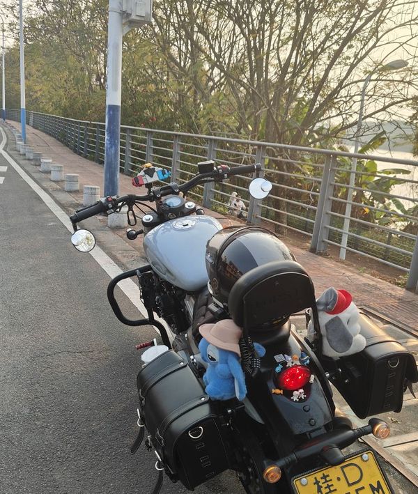 奔达 金吉拉300